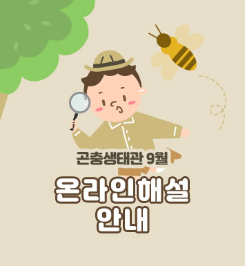 대체텍스트