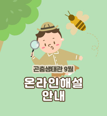 대체텍스트