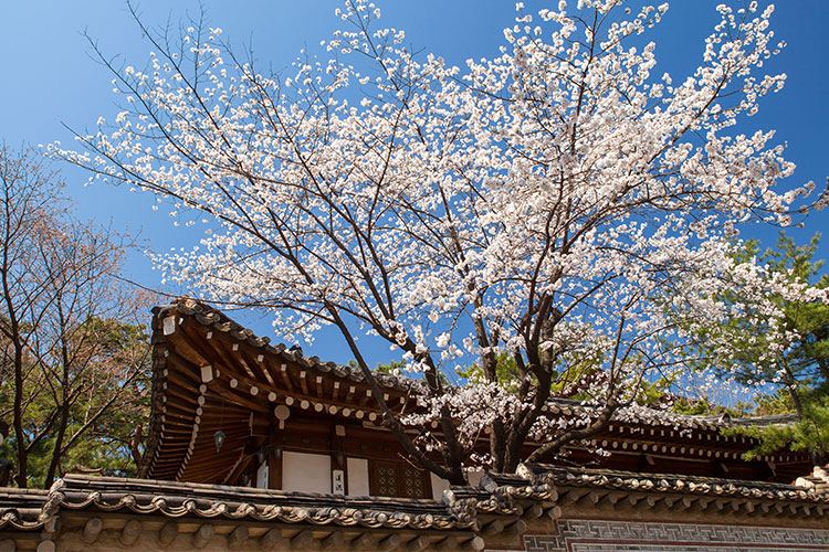 Samcheonggak