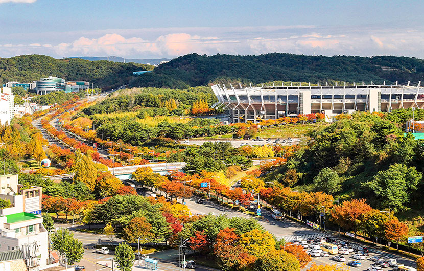 울산체육공원 가을단풍